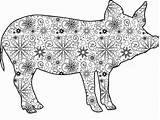 Guinea Pigs Printable sketch template