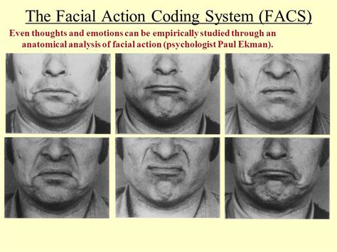 paul ekman facial action coding system pdf johersnet