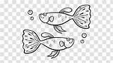 Fish Guppy Aquarium sketch template