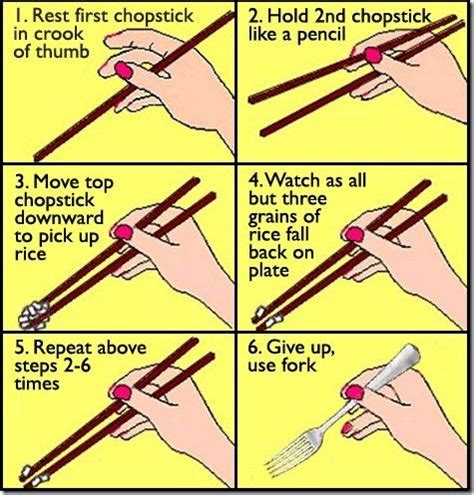 pin  sarah donovan      laugh chopsticks funny p memes