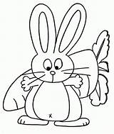 Conejos Conejo Encontrar También Puede sketch template
