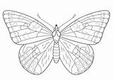 Butterfly Coloring Pages Lady Painted Printable Outline Supercoloring Intricate Super Colouring Color Drawing Print Egg Puzzle Nature sketch template