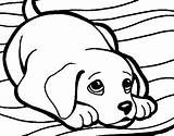 Coloring Puppy Rug Colorear Coloringcrew Getcolorings sketch template