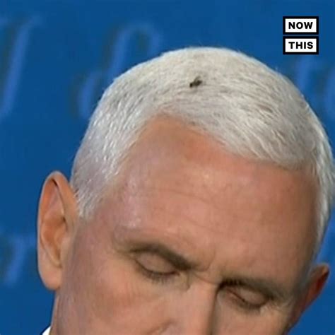 Fly Lands On Mike Pence S Head During Vp Debate Watch This Fly Chill