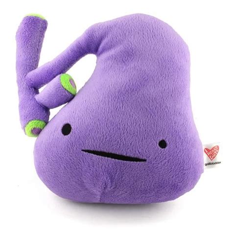 gallbladder plush you ve got gall plush organ stuffed toy pillow