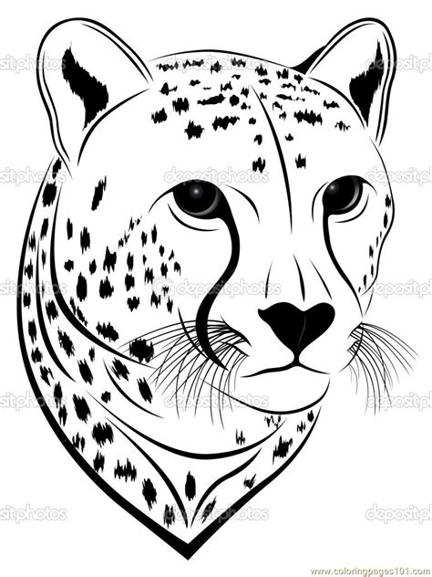 cheetah face coloring page  printable coloring pages
