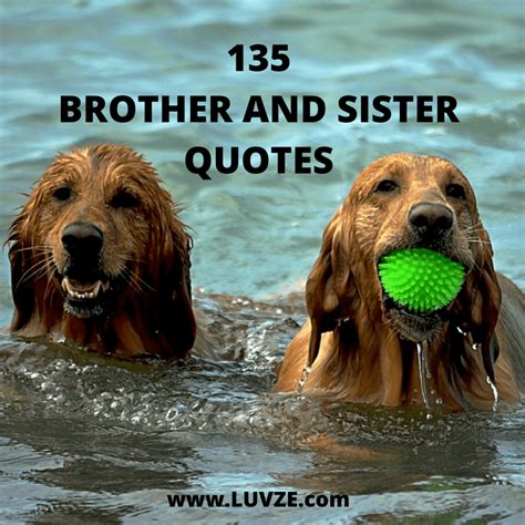 cute brother sister quotes sayings  messages