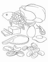 Protein Coloring Pages Myplate Printable Getcolorings Color Pag Print Getdrawings sketch template