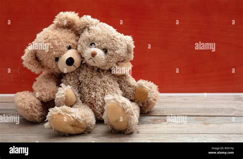 2 Teddy Bears Hugging 100 Authentic