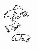Vissen Fisch Malvorlage Ausmalbilder Compartilhar Stemmen Stimmen Gostou Isso Compartilhe sketch template