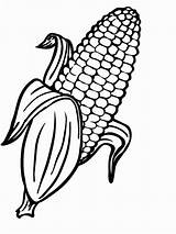 Corn Pages Fall Coloring Drawing Template Sketch sketch template