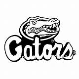 Coloring Gators Florida Pages Logo Template sketch template