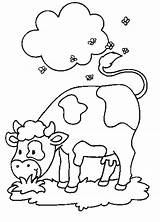 Cow Coloring Kids Coloring4free Pages Baby Printable sketch template