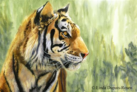 linda dupuis rosen wildlife art  watercolor gallery wildcats