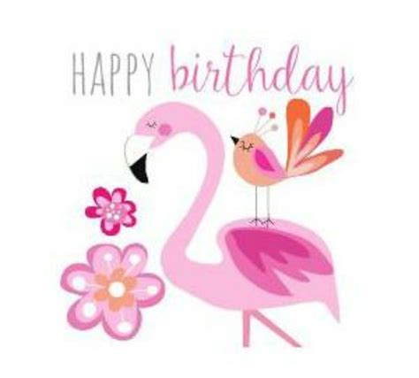 happy birthday pink flamingo flamingo happy birthday happy birthday