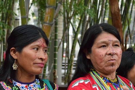 las luchas de las mujeres indígenas en colombia biodiversidad en