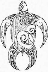 Turtle Coloring Printable Artwork Drawing Original Zentangle Polynesian Tattoo Waves Doodle Inspired Many Line Pages sketch template