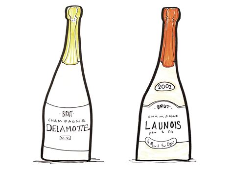How To Choose The Best Champagne Wine Folly Wine Folly