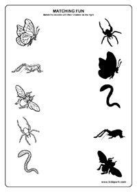 insects worksheetskids printable activitiesinsects matching worksheets matching pinterest