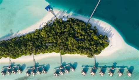 conrad maldives certified    traveller  st grand hotel champion maldives travel news