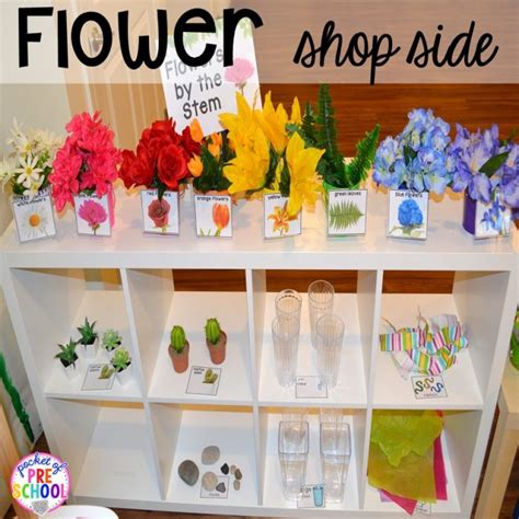 flower  garden shop dramatic play pocket  preschool
