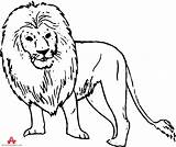 Lion Outline Drawing Clipart Cliparts Angry Vector Library Face sketch template