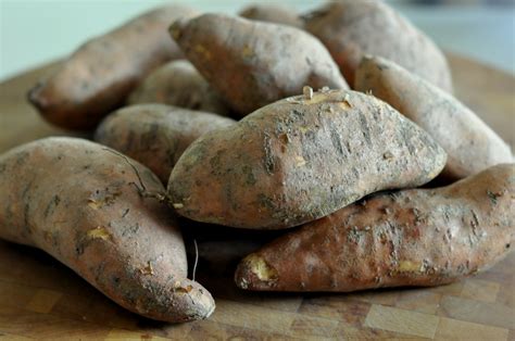 freeze homemade baby food sweet potato puree