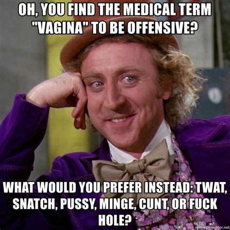 oh you find the medical term vagina to be offensive what would you