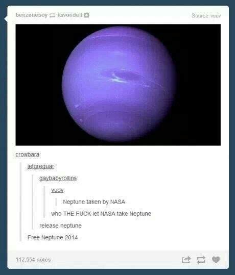 free neptune everything funny funny tumblr posts funny