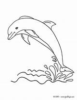 Dolphin Dauphin Delphin Delfine Delfin Hellokids Hors Drawing Ausmalbilder Easy Saltando Ausmalen Drucken Colorier Jedessine Golfinho Dolphins Coloriages Kids Tegninger sketch template