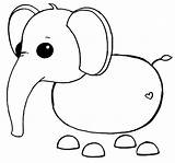 Adopt Elephant sketch template