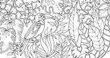 Jungle Colouring Magical Coloring Pages Johanna Basford Competition Johannabasford Book Doodle sketch template