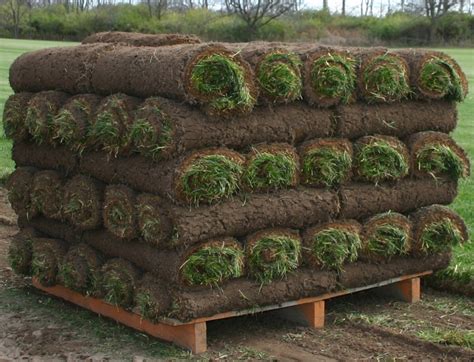 sod pallet  grass rolls covers  ubicaciondepersonascdmxgobmx