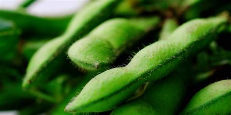 edamame   cook nutrition  health benefits