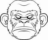 Gorilla Drawing Face Symbol Illustration Getdrawings sketch template