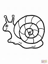 Snail Coloring Pages Outline Shell Color Cute Garden Drawing Kid Sea Line Flowers Book Animals Printable Clipart Animal Print Snails sketch template