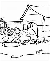 Masha Bear Coloring Pages Print Color Coloring2print sketch template