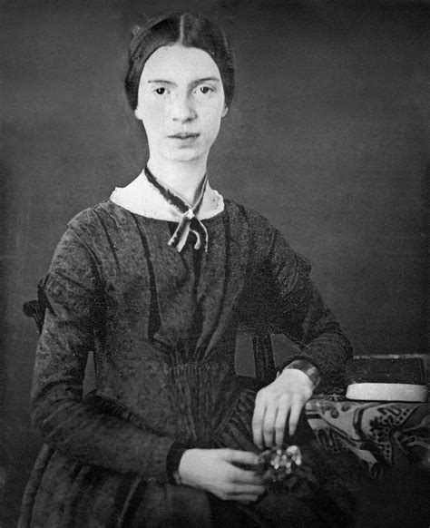 emily dickinson american poetry  poetics