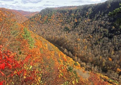 Near Wellsboro The 47 Mile Gorge Known As The Grand Canyon Of