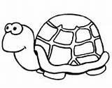 Turtle Coloring Hearts Little Coloringcrew sketch template