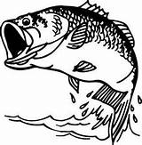 Bass Pages Largemouth Coloring Jumping Getcolorings Decal sketch template