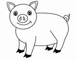 Pigs Animal sketch template