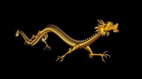 chinese dragon side angle loop motion graphics videohive