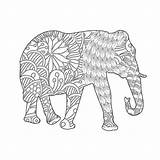 Mandala Coloring Rhinoceros sketch template