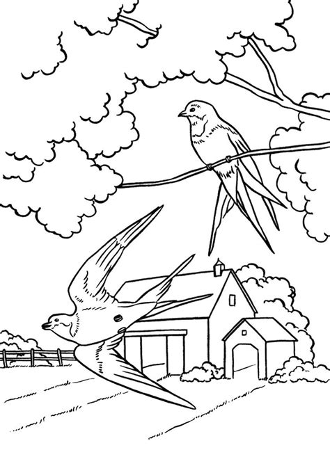 coloring pages  spring landscapes  disegni  paesaggi