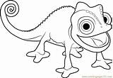 Chameleon Tangled Coloringpages101 sketch template