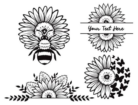 sunflower leaf silhouette illustrations royalty  vector graphics