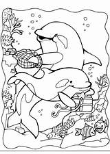 Dolphins Coloring Pages sketch template