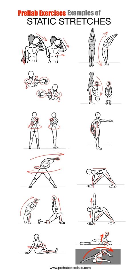 stretches examples  static stretches prehab exercises