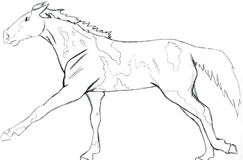 wolf coloring pages realistic  getdrawings